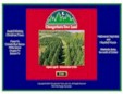 Chengerians Tree Farm